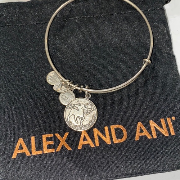 Alex and Ani Jewelry - Alex and Ano - ♐️ Sagittarius Bracelet ♐️